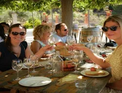 Barcelona: Half-Day Tour with Sailing, Vineyard Tour & Wine Tasting